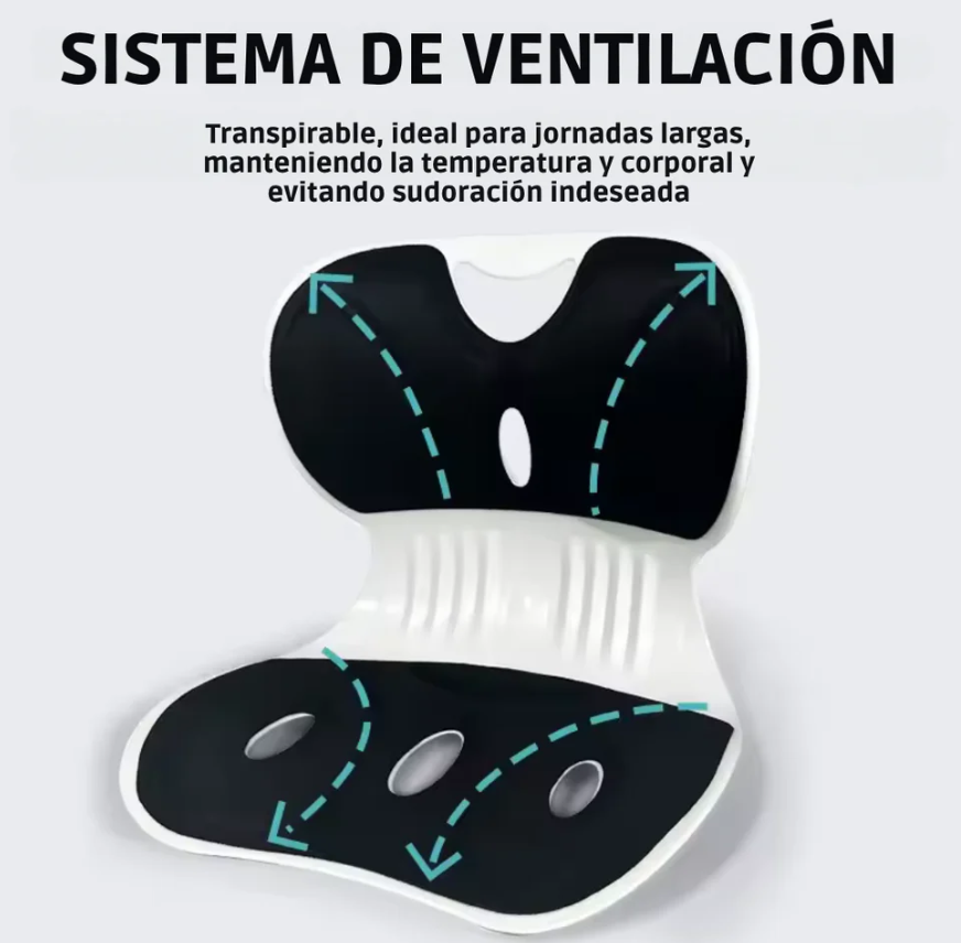 Silla Ergonómica con Cojín de Soporte Lumbar, la Herramienta Perfecta para Corregir la Postura