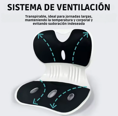 Silla Ergonómica con Cojín de Soporte Lumbar, la Herramienta Perfecta para Corregir la Postura